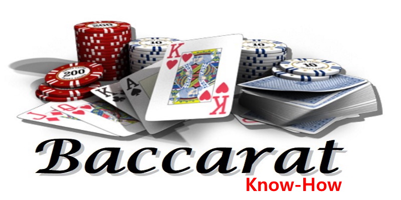 You are currently viewing 바카라(Baccarat) 시스템 배팅 노하우